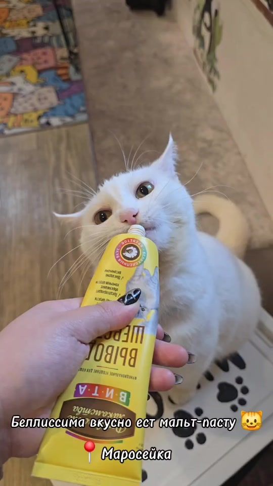 TikTok video thumbnail by kotofeinya
