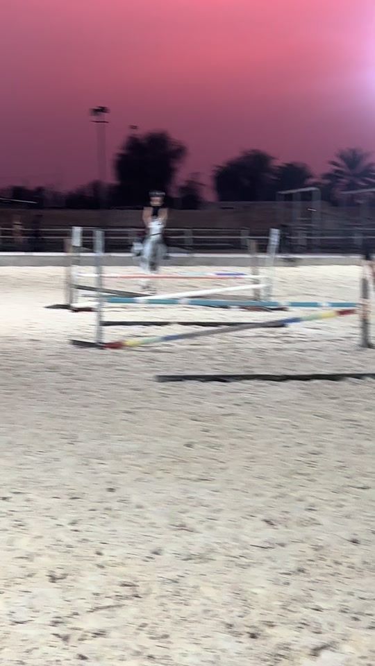 TikTok video thumbnail by flythehorse_