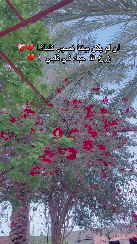 TikTok video thumbnail by nawal63175