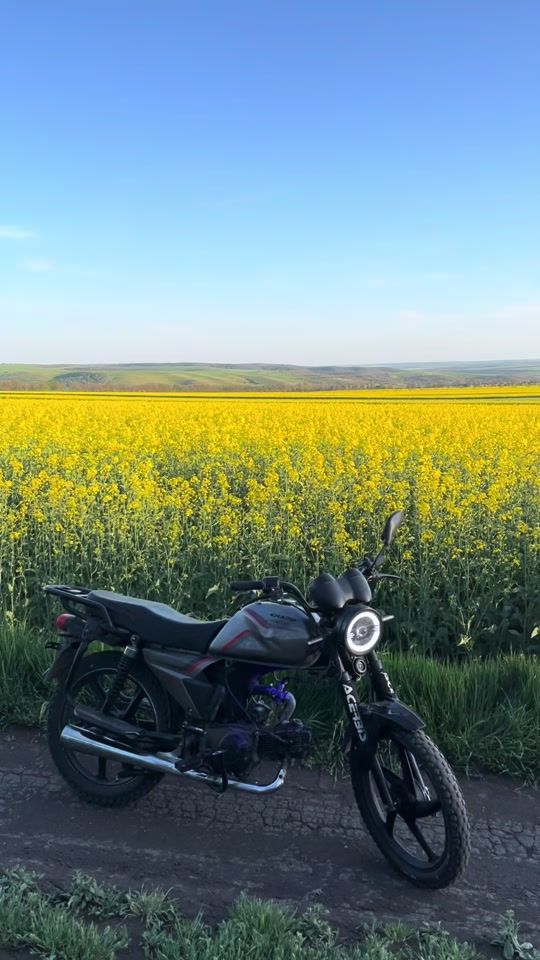 TikTok video thumbnail by denis.kasy