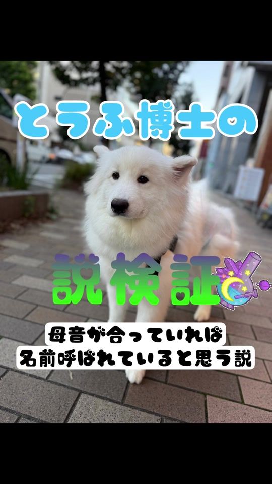 TikTok video thumbnail by smile09351