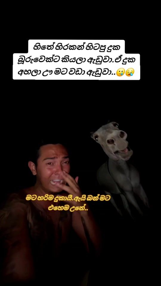 TikTok video thumbnail by thihara677