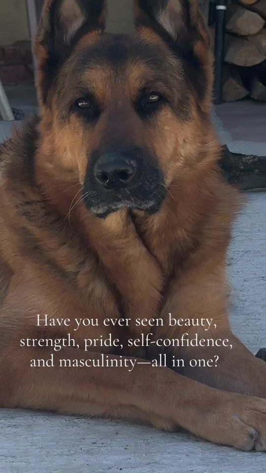 TikTok video thumbnail by samuelandgsd