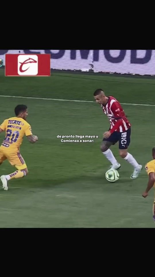 TikTok video thumbnail by chivas_lit