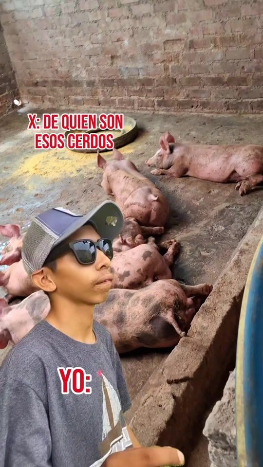TikTok video thumbnail by granja.mimila