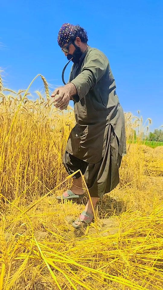 TikTok video thumbnail by muhammadishaq____786