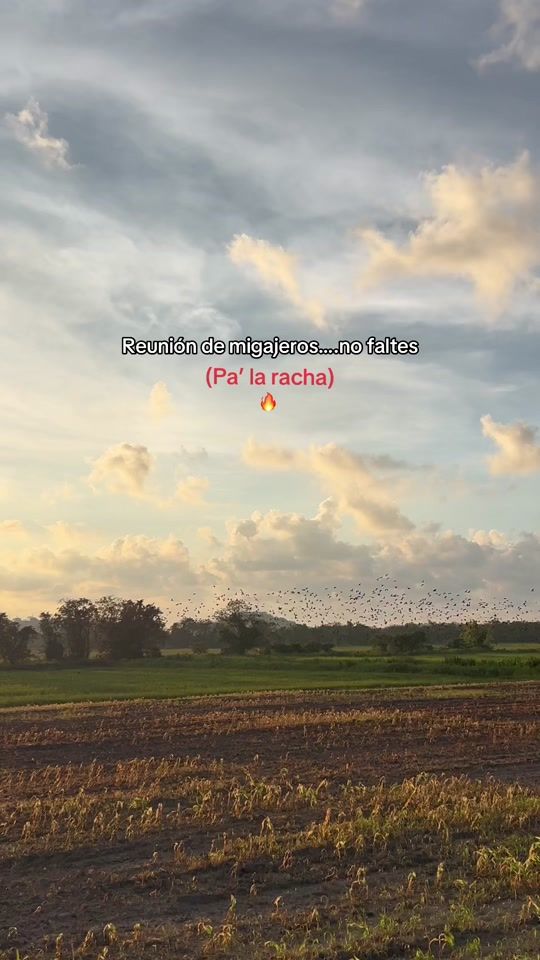 TikTok video thumbnail by larinee29