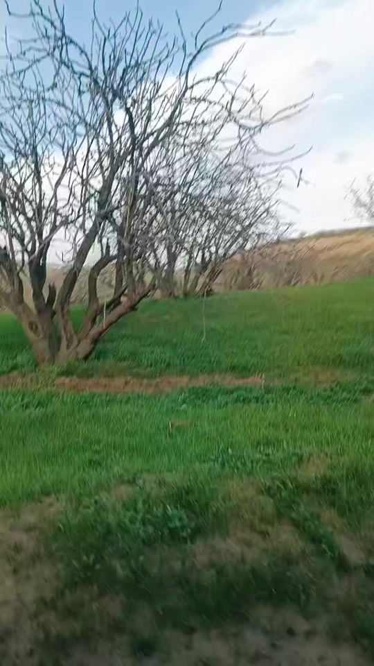 TikTok video thumbnail by aynasaede