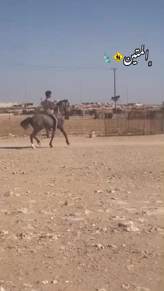 TikTok video thumbnail by ax___2005
