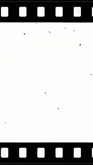 TikTok video thumbnail by ff_anis_1