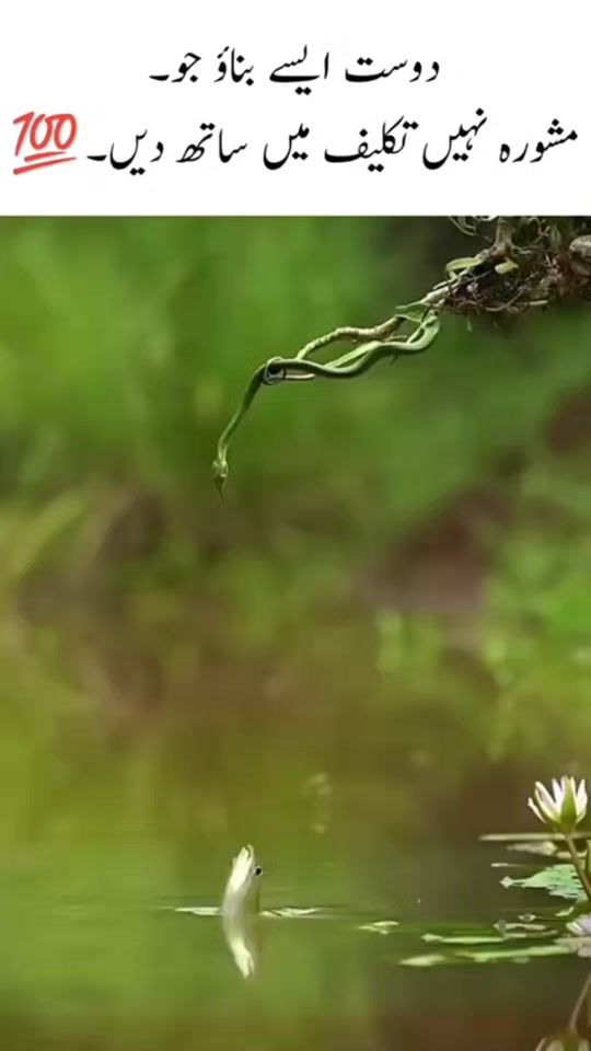 TikTok video thumbnail by mashal121