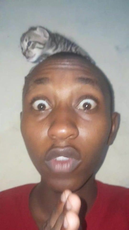 TikTok video thumbnail by muchiri_ent