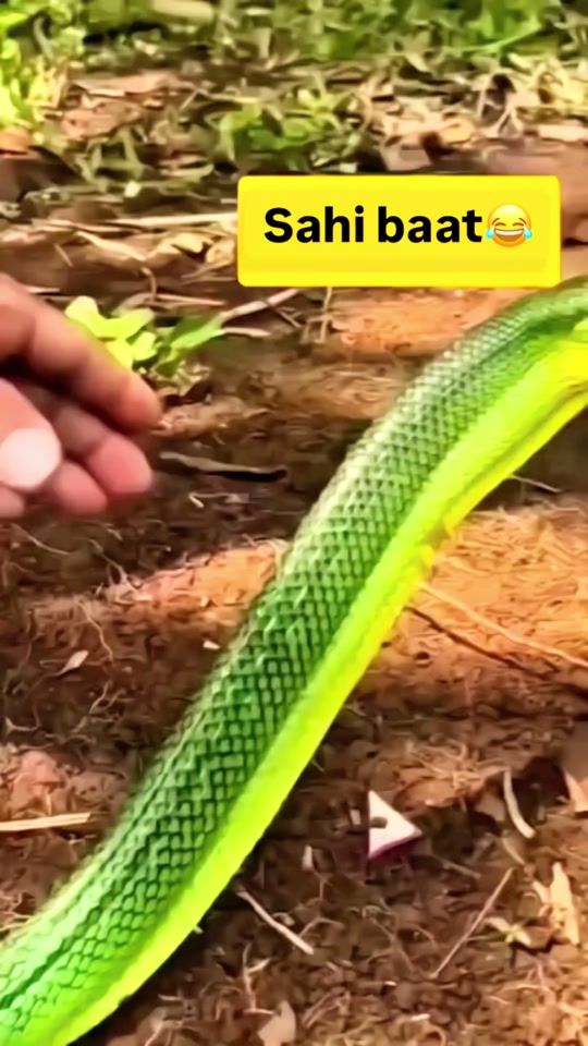 TikTok video thumbnail by rajeshbist2