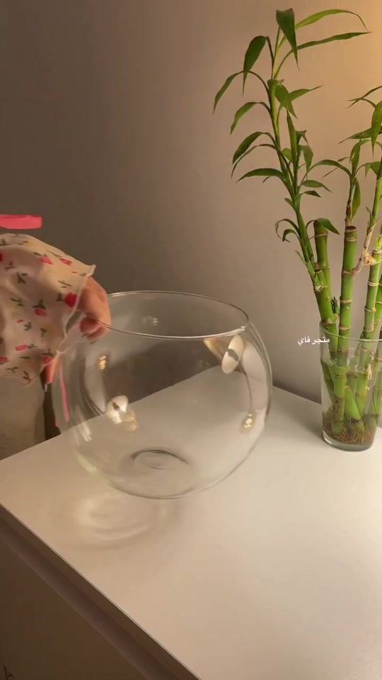 TikTok video thumbnail by fay_samaka