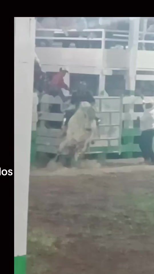 TikTok video thumbnail by franciskito37