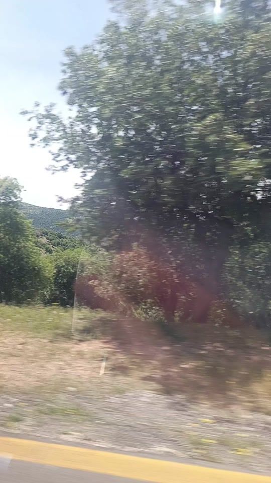 TikTok video thumbnail by refad.m