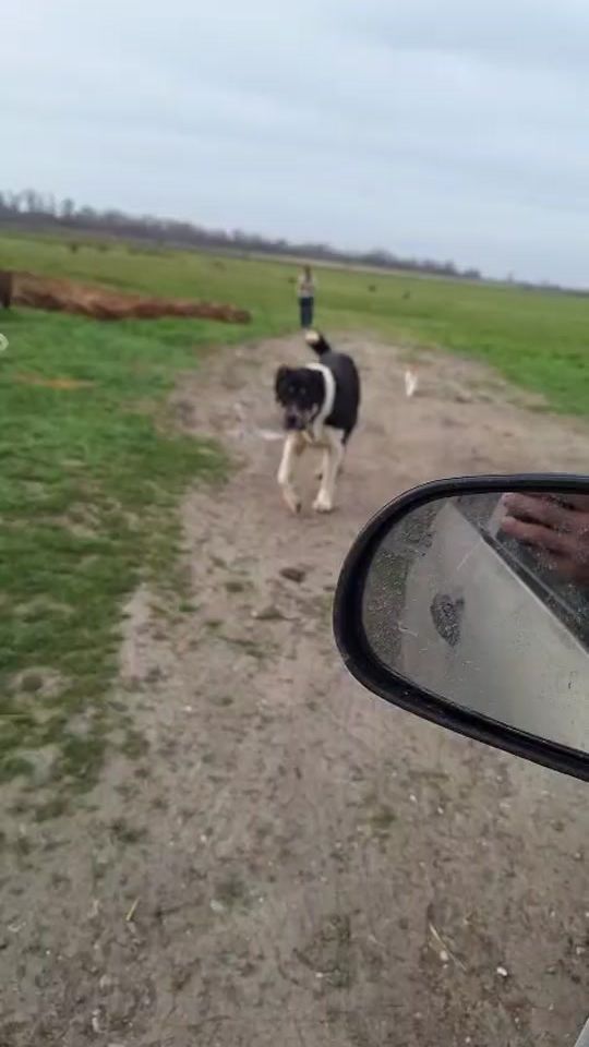 TikTok video thumbnail by volkd55