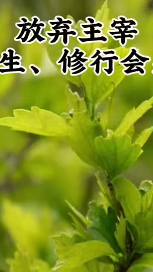 TikTok video thumbnail by bridge_light
