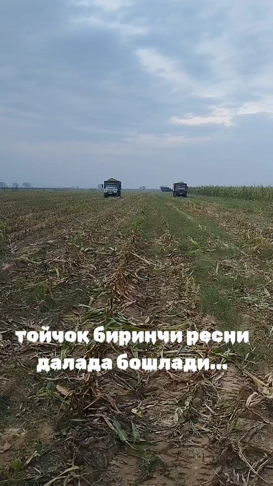 TikTok video thumbnail by m.4480