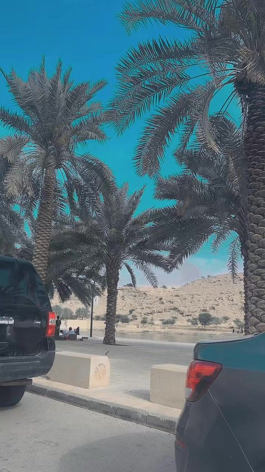 TikTok video thumbnail by nilammuneer95