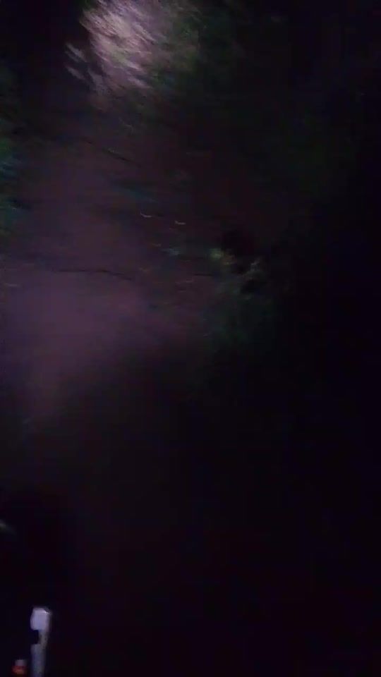 TikTok video thumbnail by surviver674