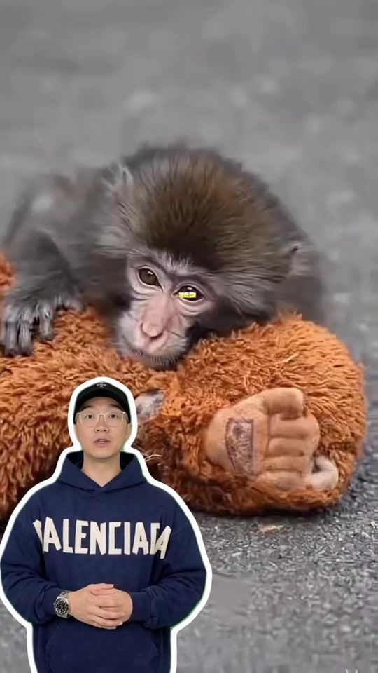 TikTok video thumbnail by director.beck