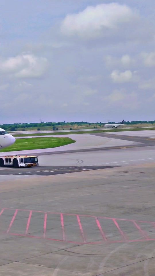 TikTok video thumbnail by flying._birds