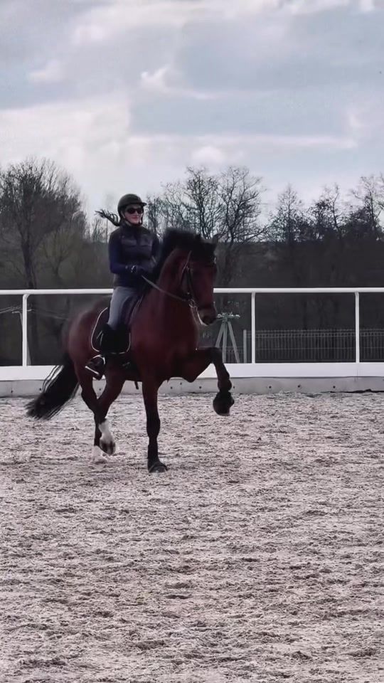TikTok video thumbnail by horse_agent_