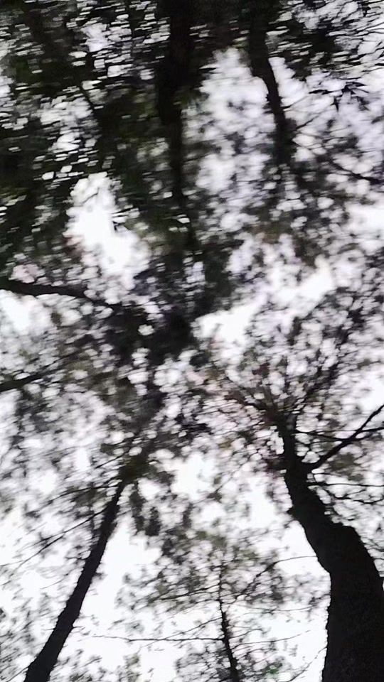TikTok video thumbnail by iwan_ardy17