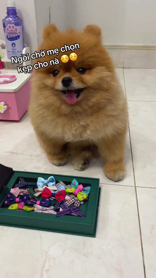 TikTok video thumbnail by juniehouse