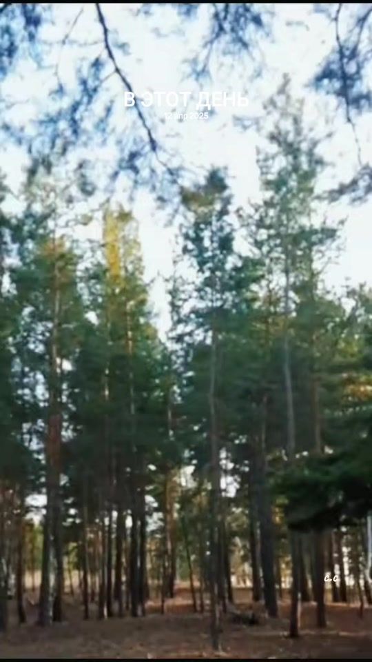 TikTok video thumbnail by winston_13_13
