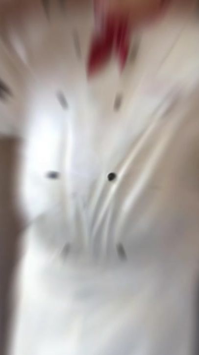 TikTok video thumbnail by bagheykelleri