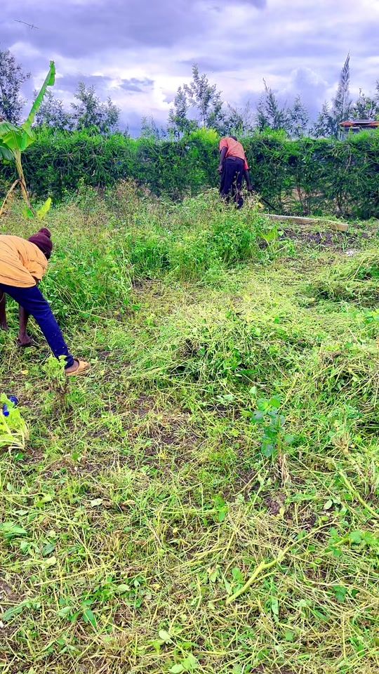 TikTok video thumbnail by swit_maggy