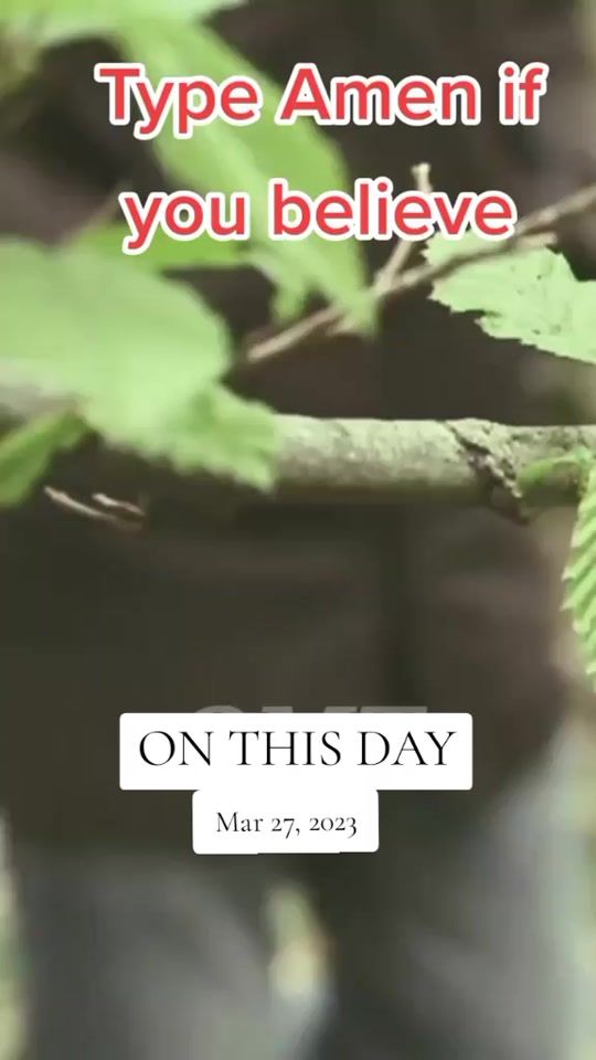 TikTok video thumbnail by vickyblesse