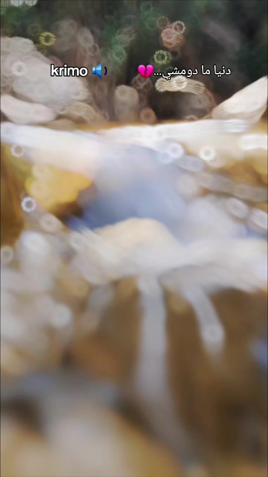 TikTok video thumbnail by moudir.s3
