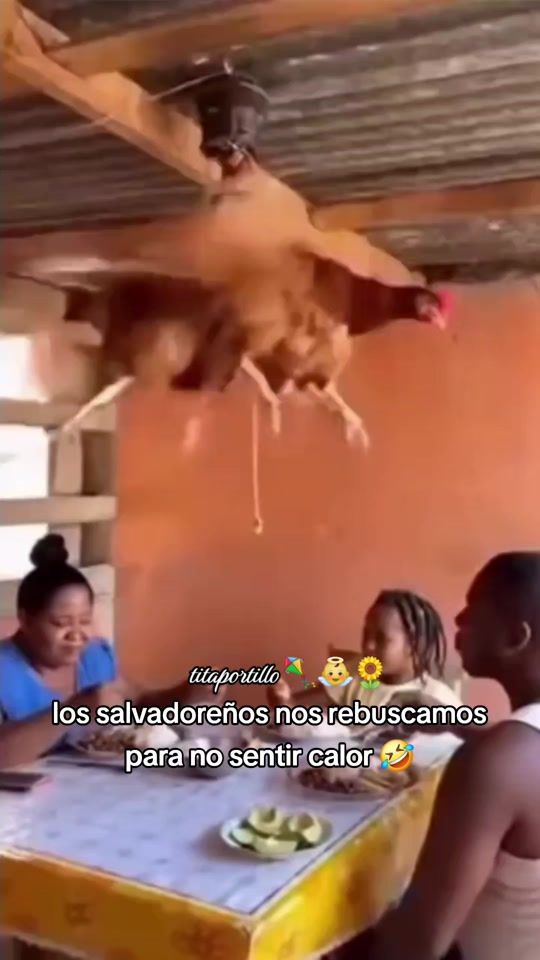 TikTok video thumbnail by titaportillo01