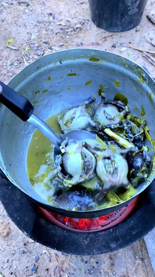 TikTok video thumbnail by mam_jitrawan