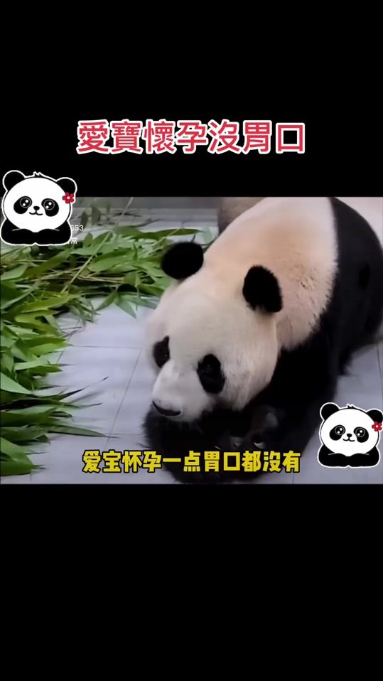 TikTok video thumbnail by ee11778899