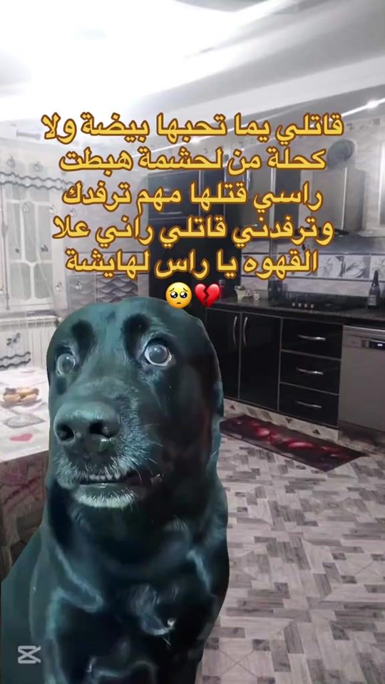 TikTok video thumbnail by oussamachebira16