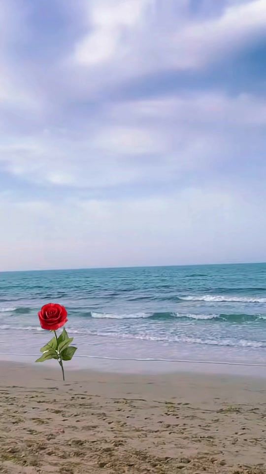 TikTok video thumbnail by m.tataouine