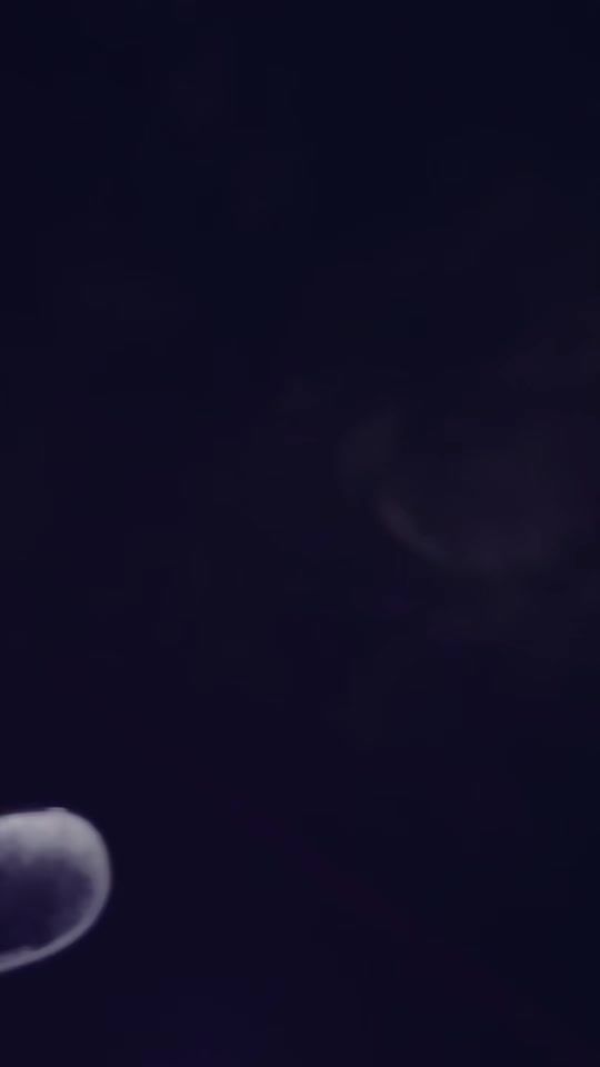 TikTok video thumbnail by rabay.16