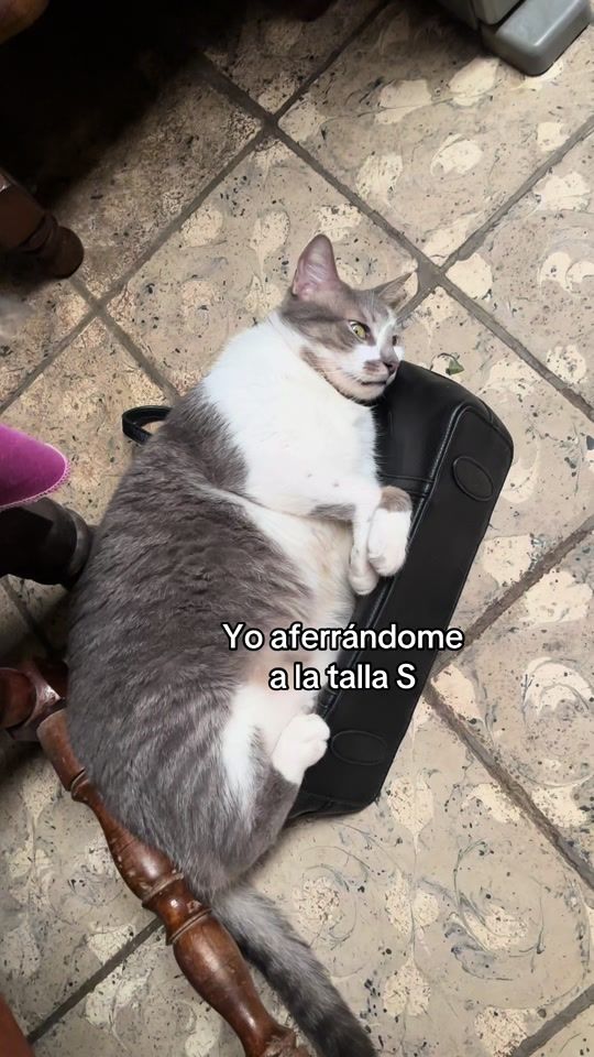TikTok video thumbnail by mervrla