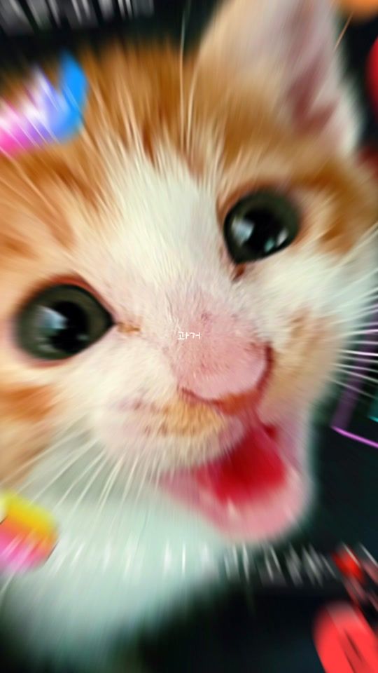 TikTok video thumbnail by cute_tiger