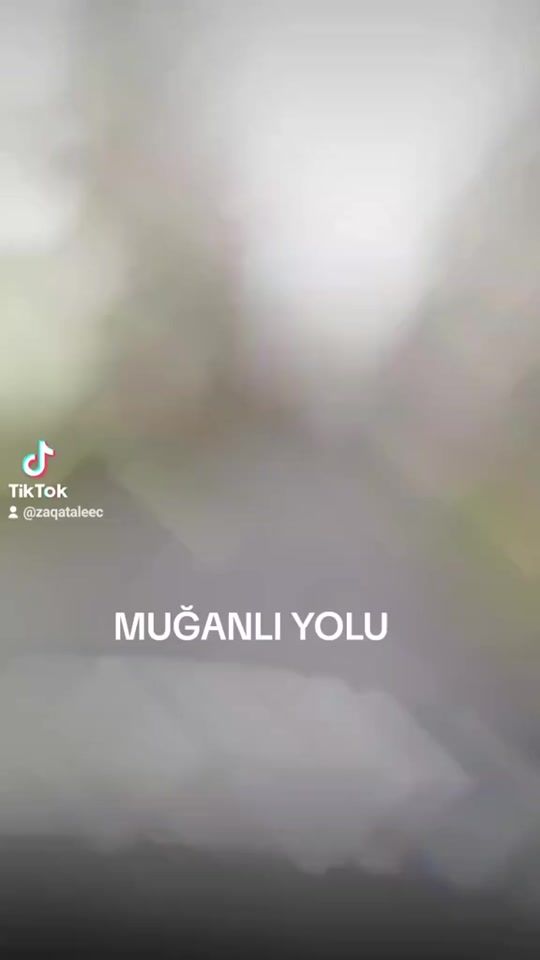 TikTok video thumbnail by zaqataleec