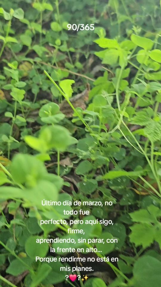 TikTok video thumbnail by videos.de.naturale