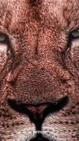 TikTok video thumbnail by khhv4vr