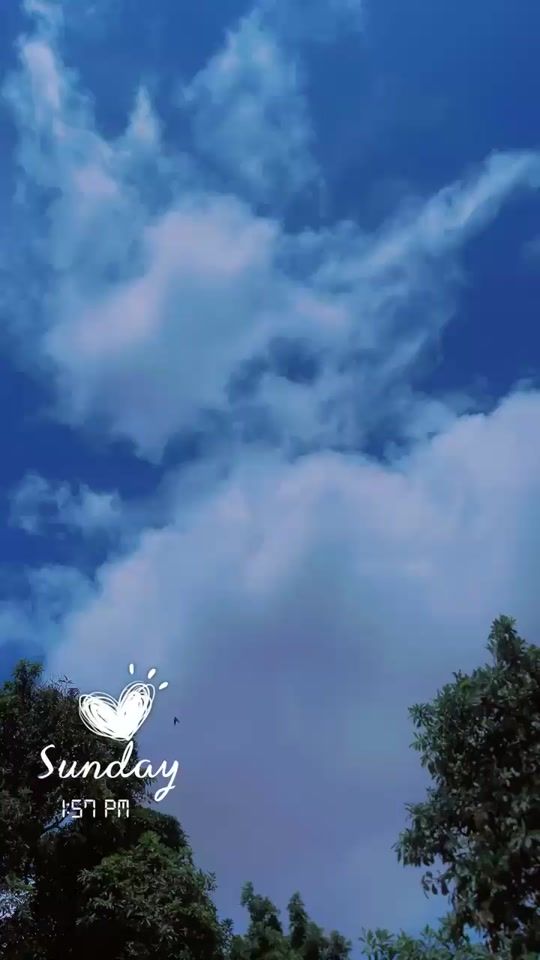 TikTok video thumbnail by user1683630506305