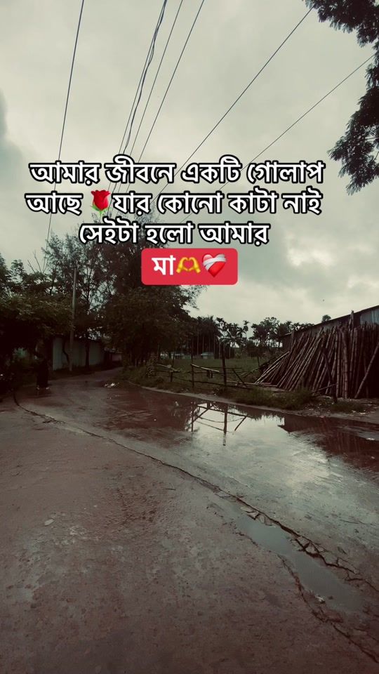 TikTok video thumbnail by rakib_bbz0.3