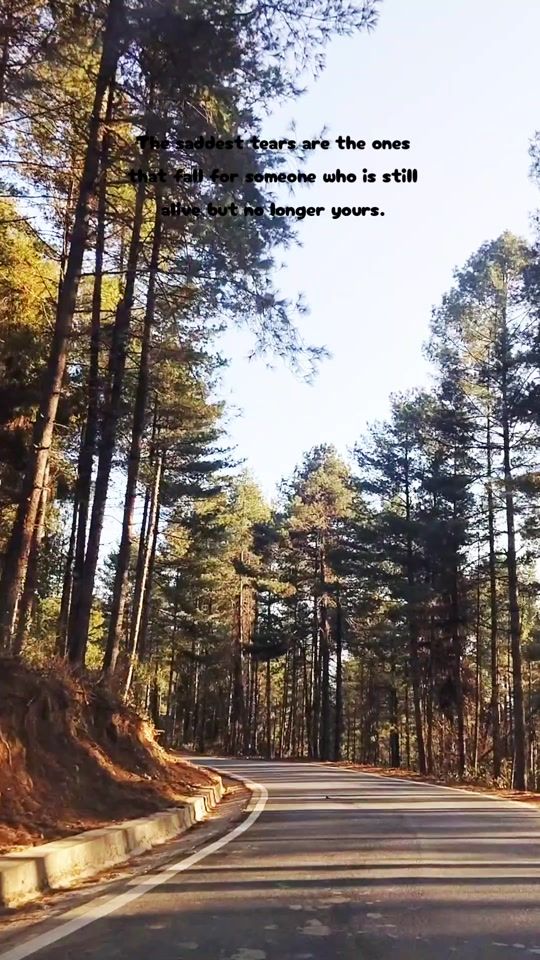 TikTok video thumbnail by livelylens5