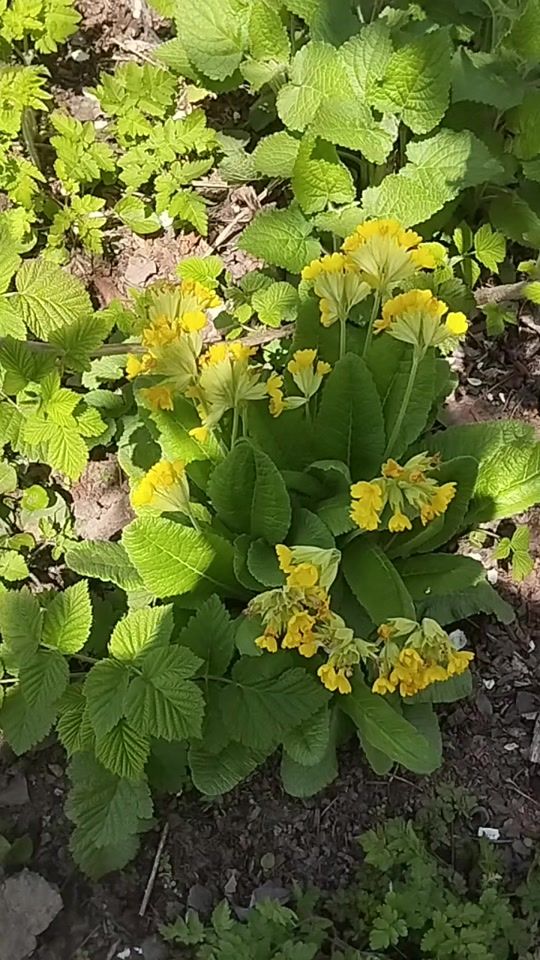 TikTok video thumbnail by harutna03